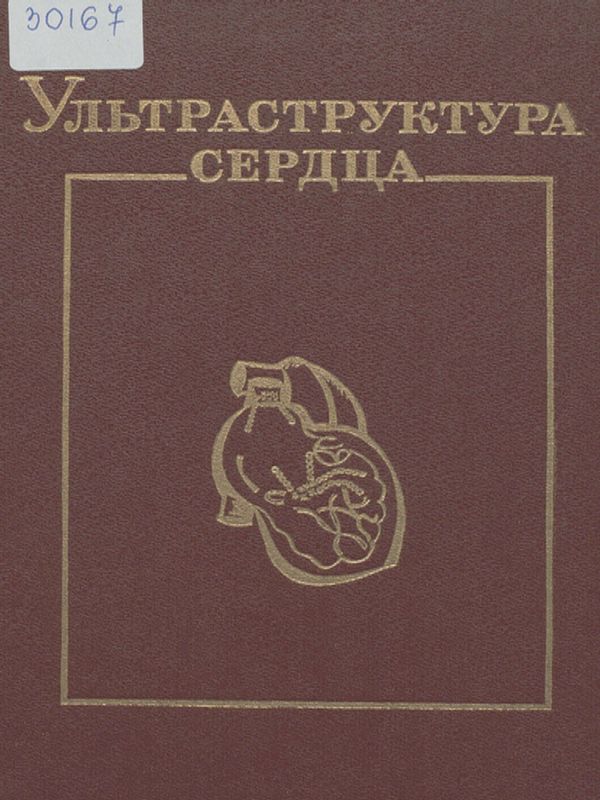 Ультраструктура сердца