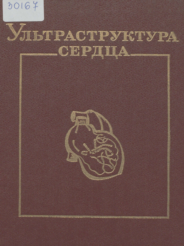 Ультраструктура сердца