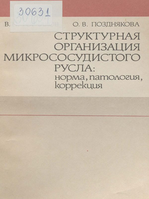 Структурная организация микрососудистого русла