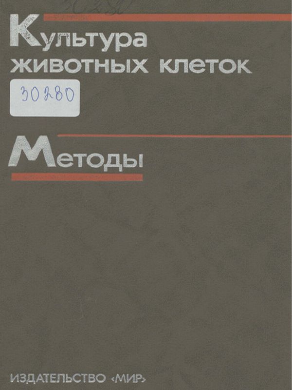 Культура животных клеток. Методы