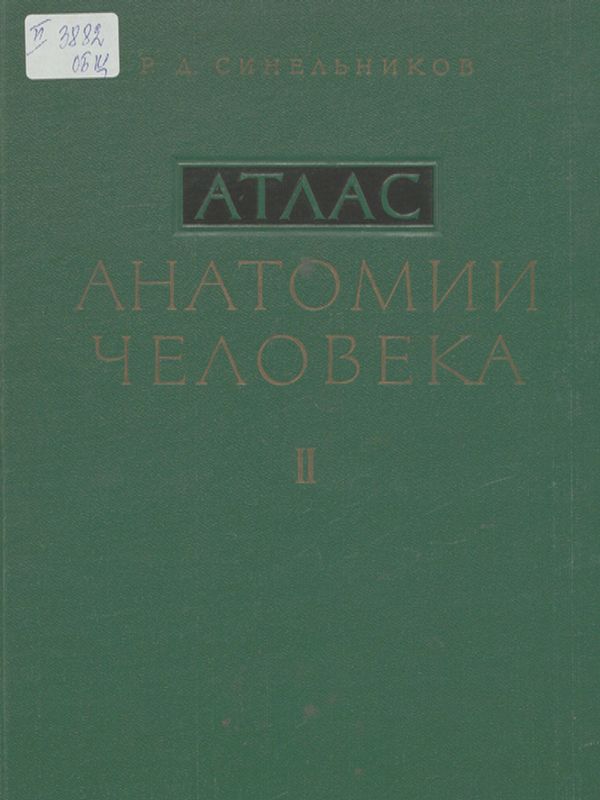 Атлас анатомии человека