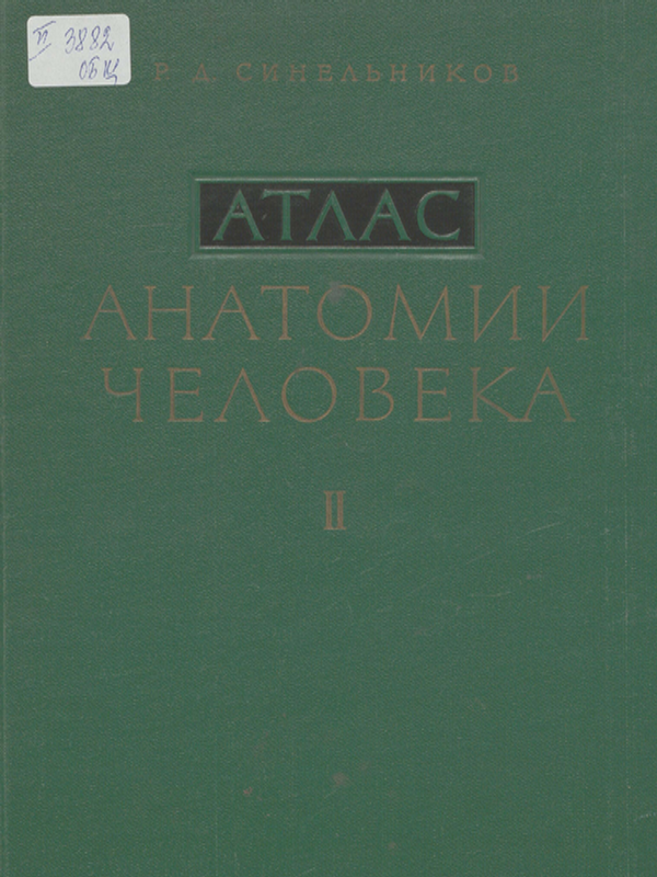 Атлас анатомии человека