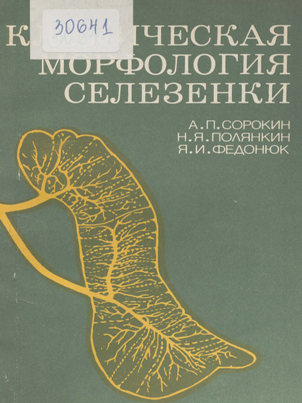 Клиническая морфология селезенки