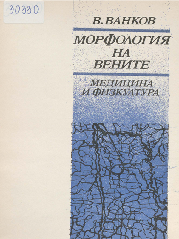 Морфология на вените