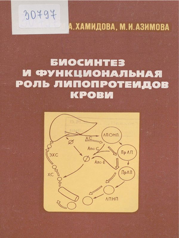 Биосинтез и функциональная роль липопротеидов крови