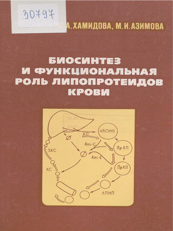 Биосинтез и функциональная роль липопротеидов крови