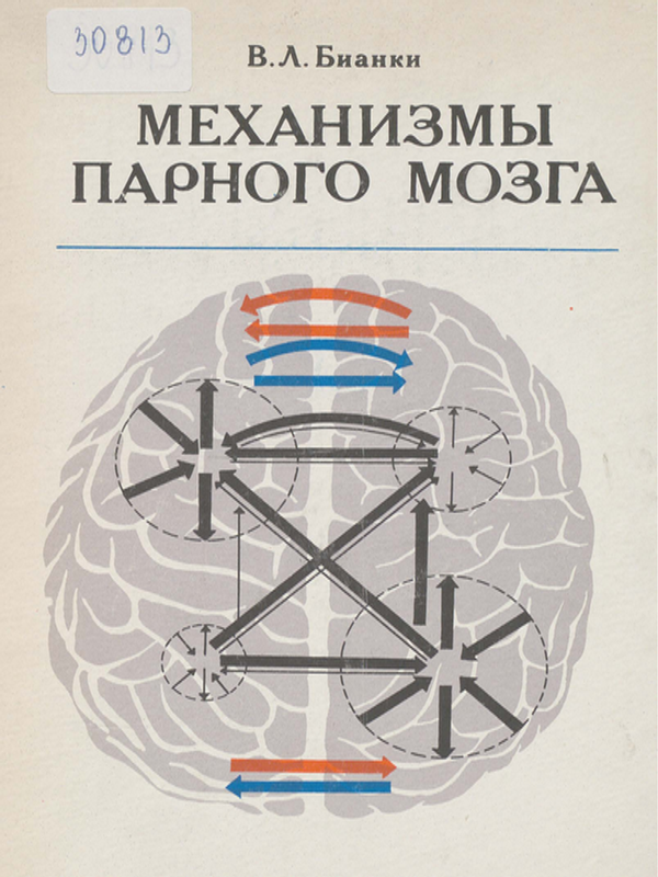 Механизмы парного мозга