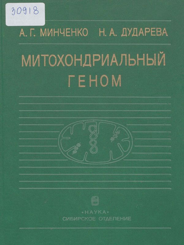 Митохондриальный геном
