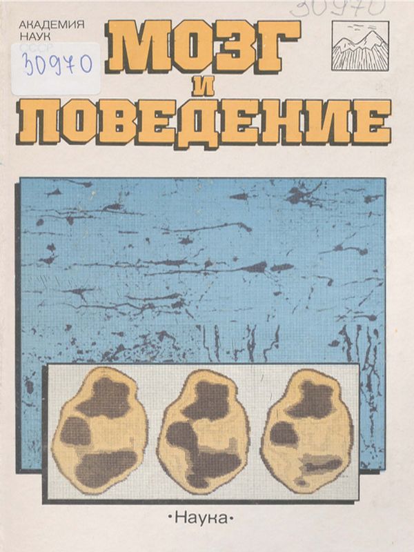 Мозг и поведение