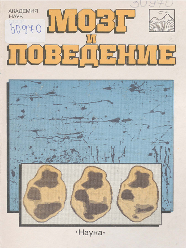 Мозг и поведение