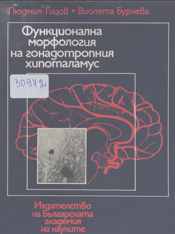 Функционална морфология на гонадотропния хипоталамус