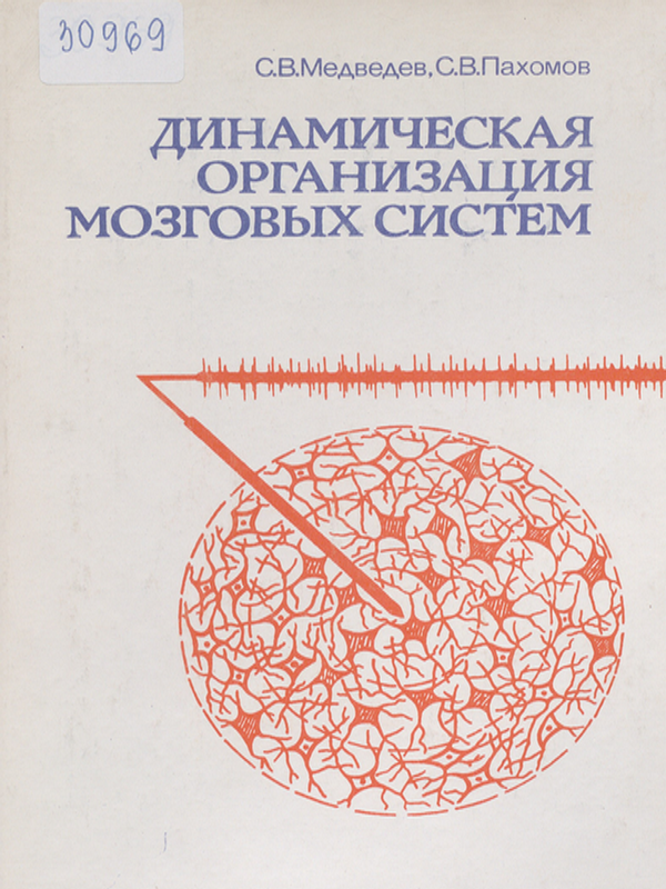 Динамическая организация мозговых систем