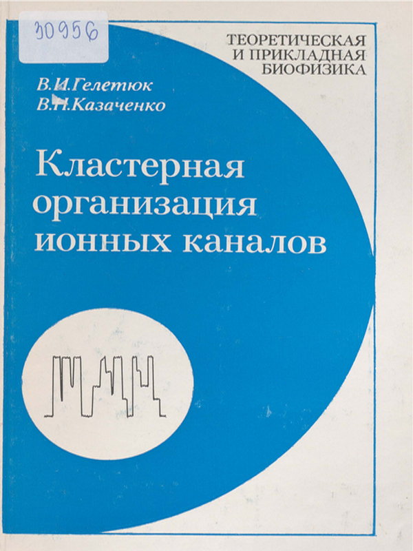 Кластерная организация ионных каналов