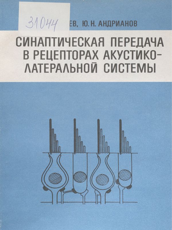Синаптическая передача в рецепторах акустико-латеральной системы