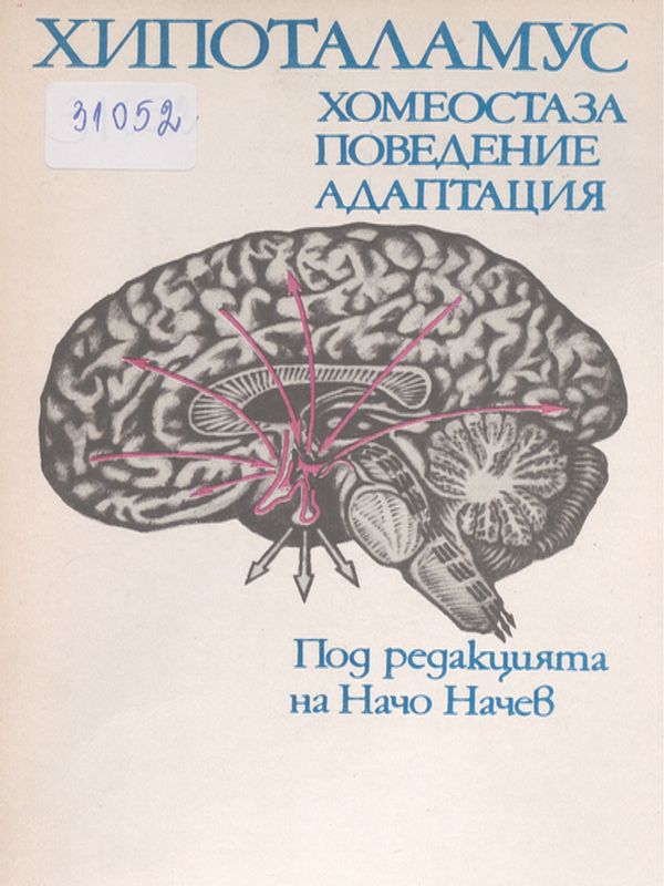 Хипоталамус