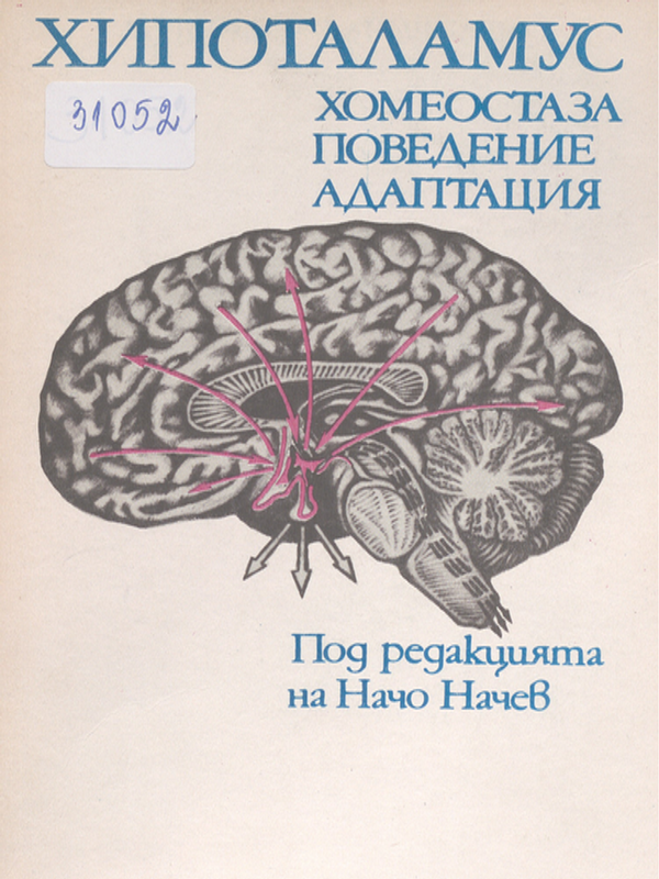 Хипоталамус