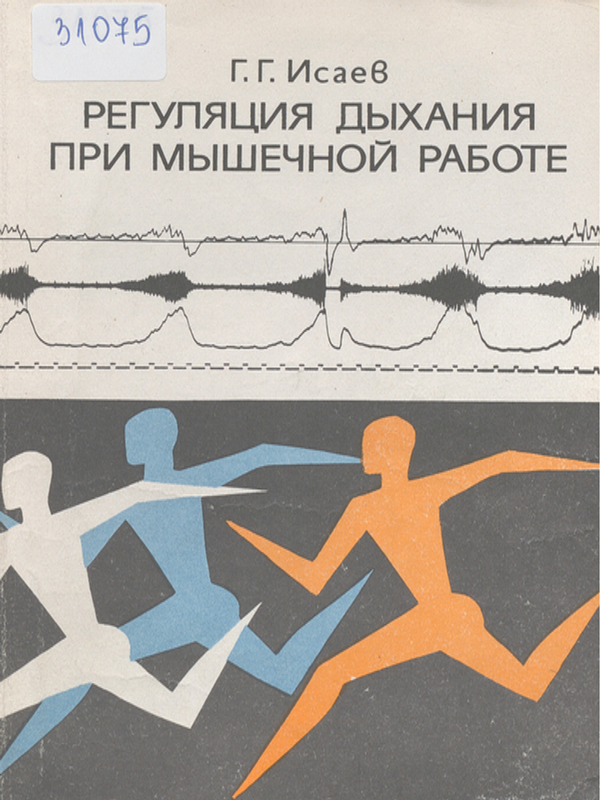 Регуляция дыхания при мышечной работе
