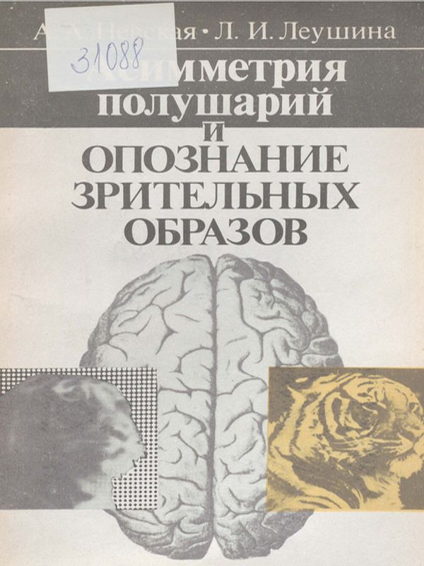 Асимметрия полушарий головного мозга и опознание зрительных образов