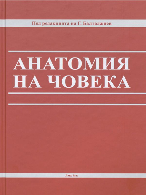 Анатомия на човека