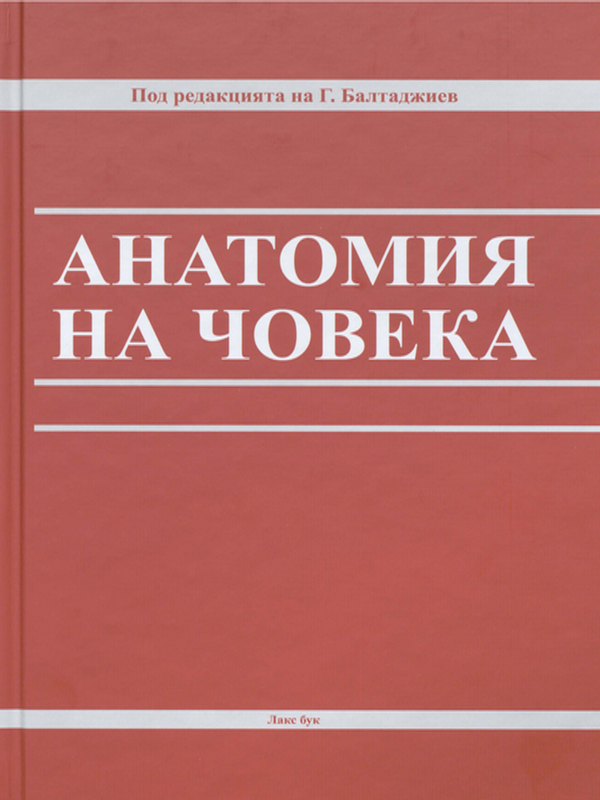 Анатомия на човека