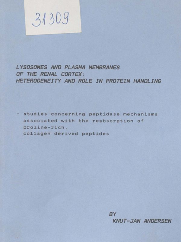Lysosomes and plasma membranes of the renal cortex: Heterogeneity and role in protein handling