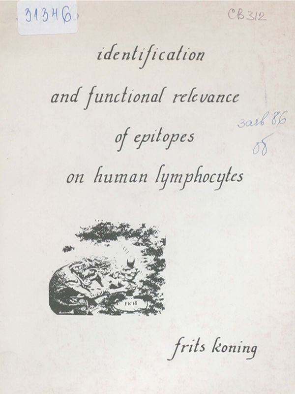 Identification and functional relevance of epitopes on human lymphocytes