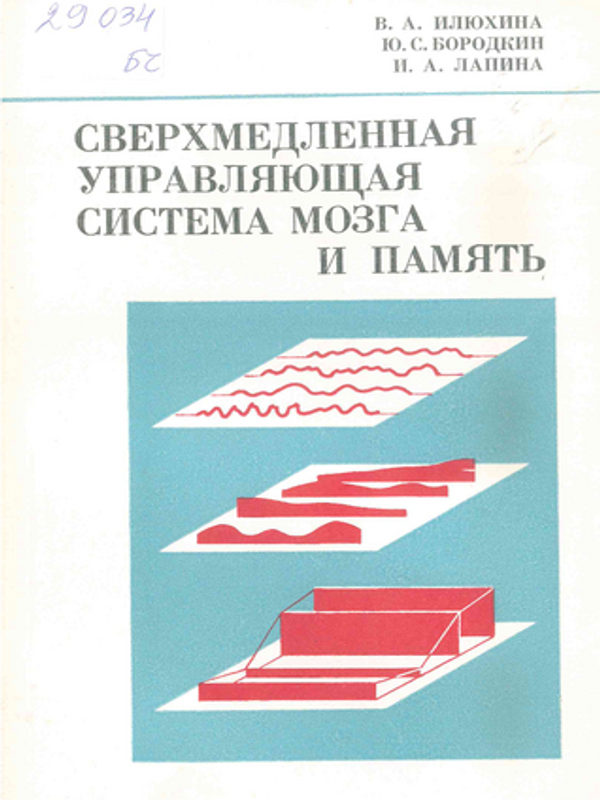 Сверхмедленная управляющая система мозга и память