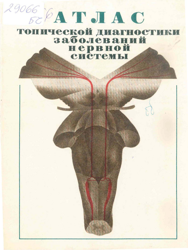 Атлас топической диагностики заболеваний нервной системы