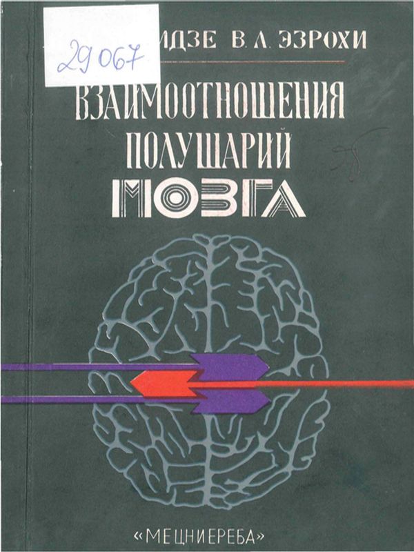 Взаимоотношения полушарий мозга