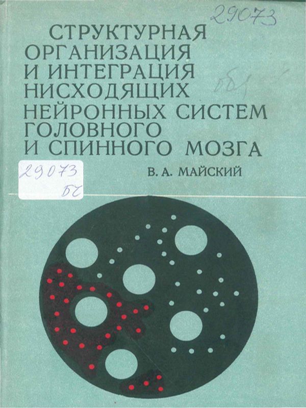 Структурная организация и интеграция нисходящих нейронных систем головного и спинного мозга