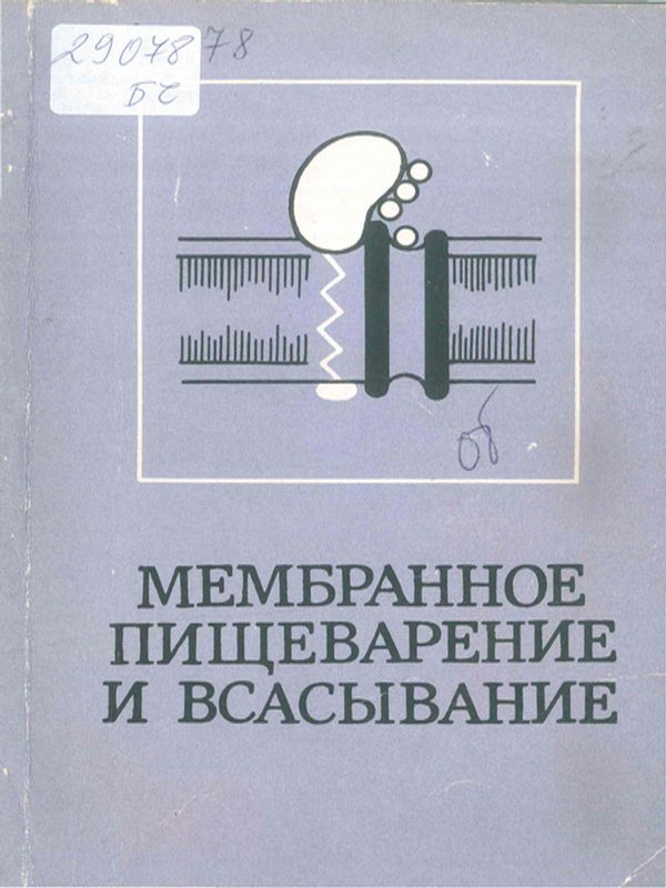 Мембранное пищеварие и всасывание