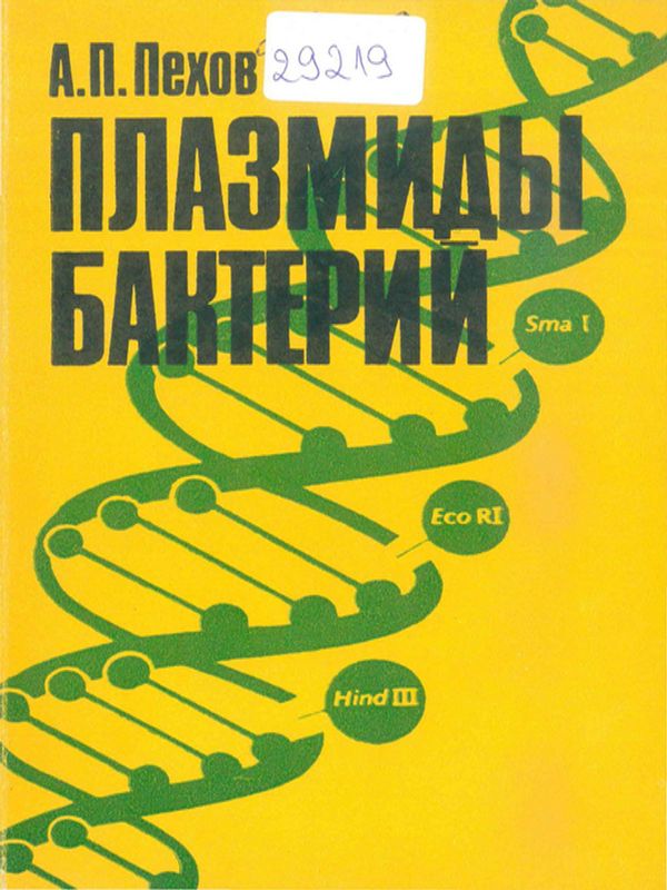 Плазмиды бактерий