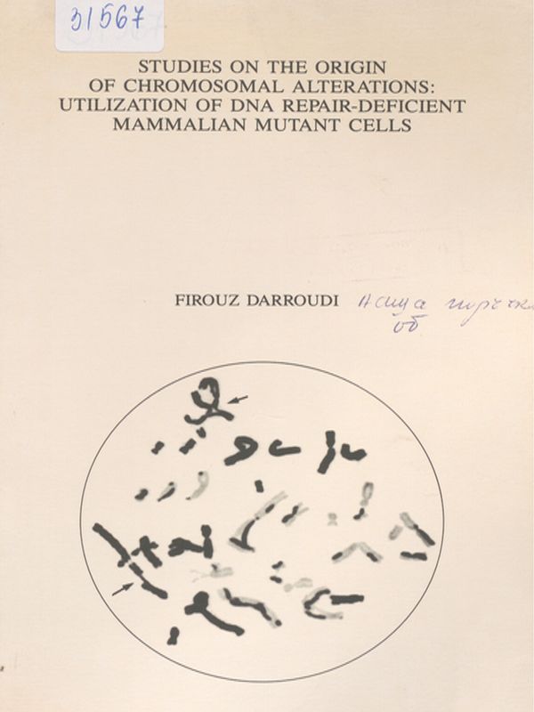 Studies on the origin of chromosomal alterations: utilization of DNA repair-deficient mammalian mutant cells