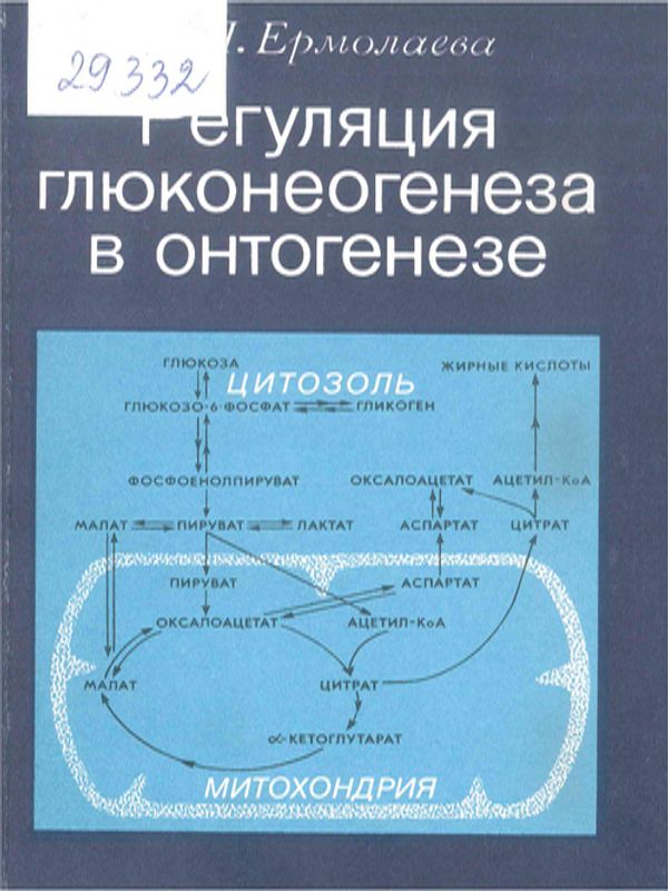 Регуляция глюконеогенеза в онтогенезе