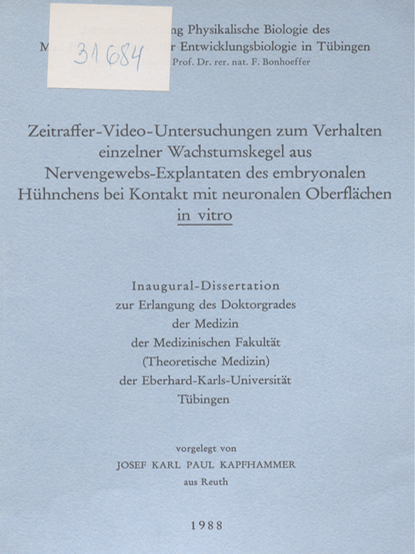 Zeitraffer-Video-Untersuchungen zum Verhalten einzelner Wachstumskegel aus Nervengewebs-Explantaten des embryonalen Huhnchens bei Kontakt mit neuronalen Oberflachen in vitro