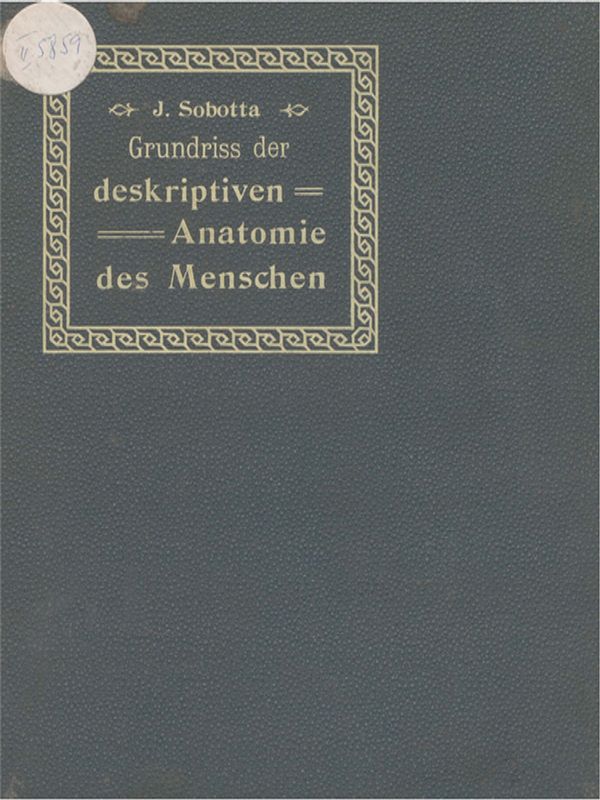 Grundriss der deskriptiven Anatomie des Menschen