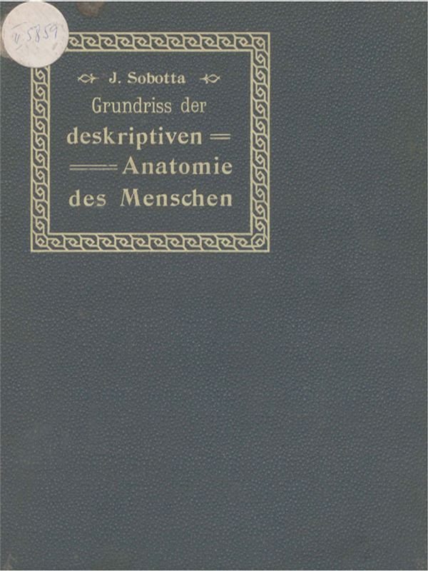 Grundriss der deskriptiven Anatomie des Menschen