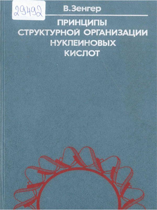 Принципы структурной организации нуклеиновых кислот