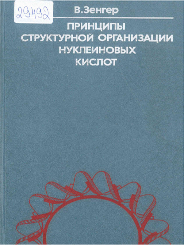 Принципы структурной организации нуклеиновых кислот