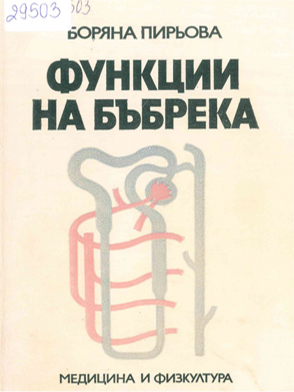 Функции на бъбрека