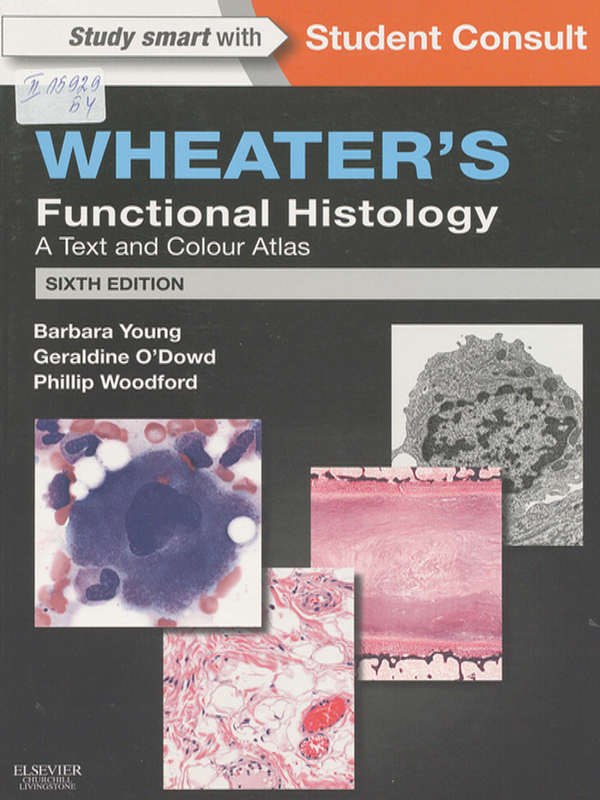 Wheater`s functional histology