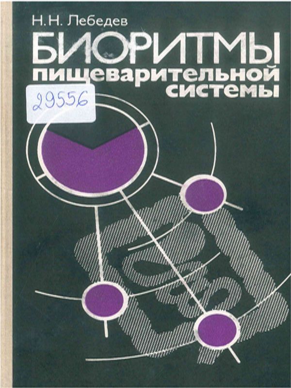 Биоритмы пищеварительной системы