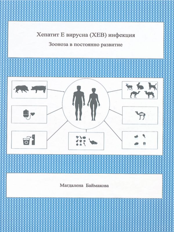 Хепатит Е вирусна (ХЕВ) инфекция