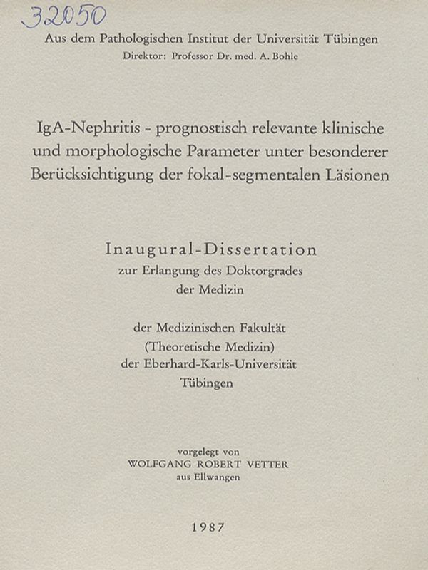 IgA-Nephritis-prognostisch relevante klinische und morphologische Parameter unter besonderer Berucksichtigung der fokal-segmentalen Lasionen
