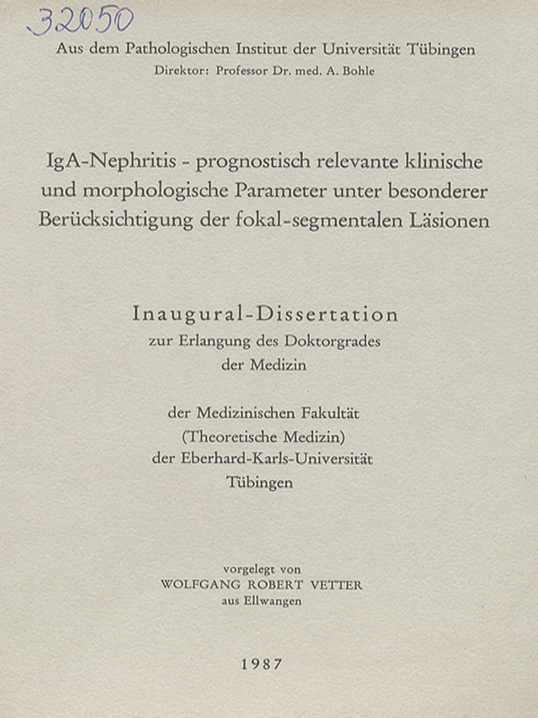 IgA-Nephritis-prognostisch relevante klinische und morphologische Parameter unter besonderer Berucksichtigung der fokal-segmentalen Lasionen