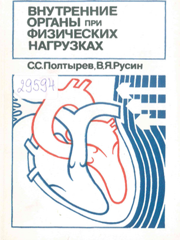 Внутренние органы при физических нагрузках