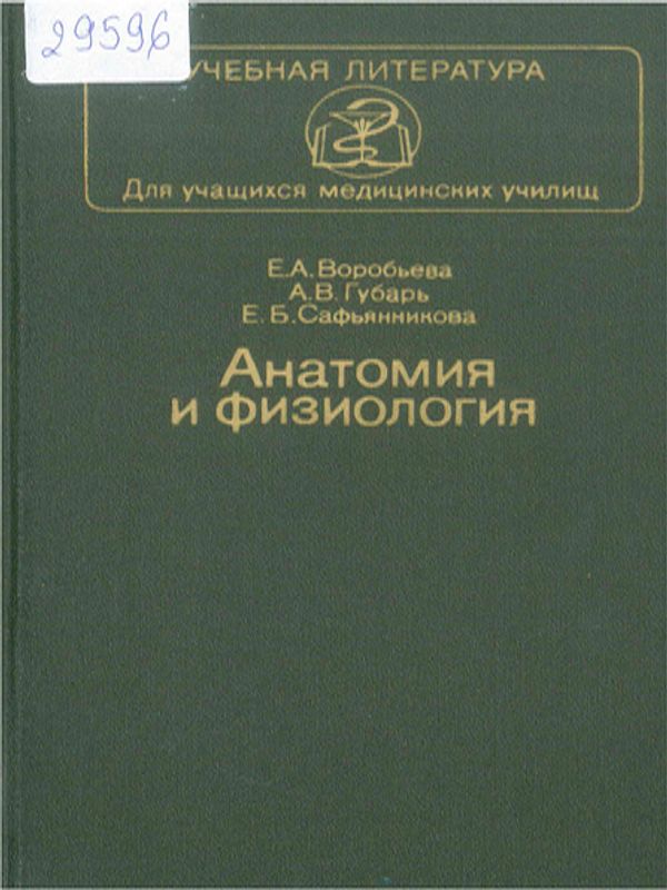 Анатомия и физиология