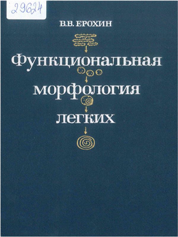 Функциональная морфология респираторного отдела легких