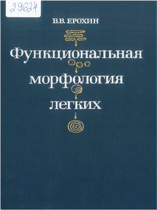 Функциональная морфология респираторного отдела легких