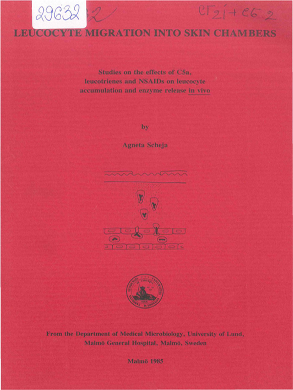 Leucocyte migration into skin chambers